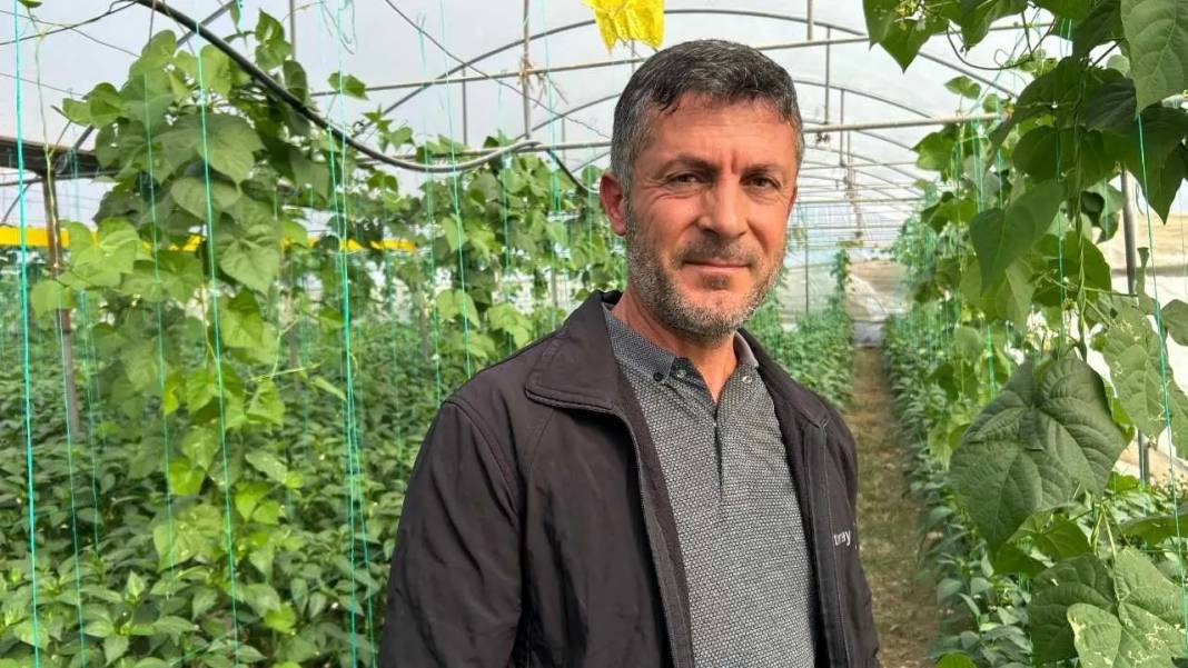 Türkiye’nin En Acı Biberinde Hasat Hatay’da Başladı! 5